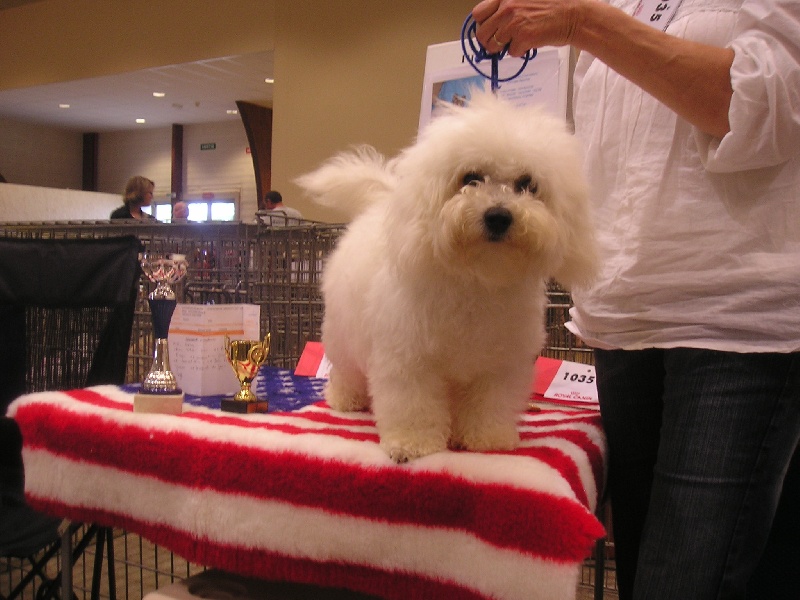 Publication : Le havre des petits charmeurs Auteur : Ghislaine Bonnet