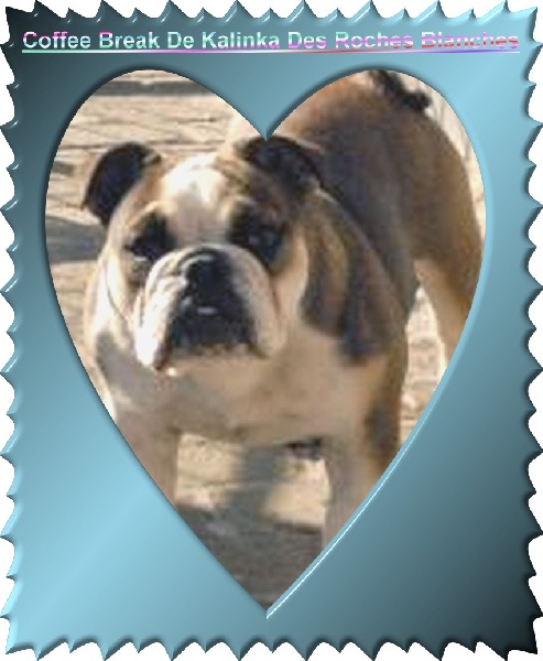 Auteur : véronique missotten