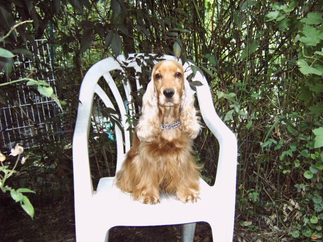 Publication : Des Plaines De Mazurie Auteur : Michèle Block