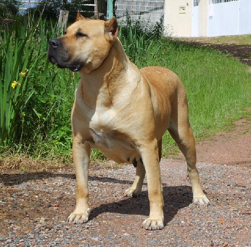 CH. Virgin De la crique du Flojule