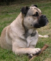 Le premier roi osanna (Sans Affixe)