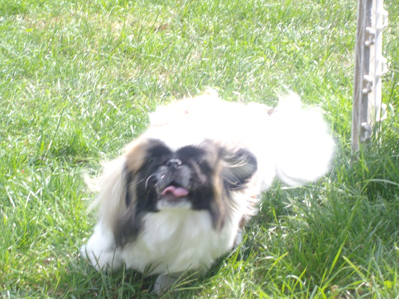 Publication : one more night 