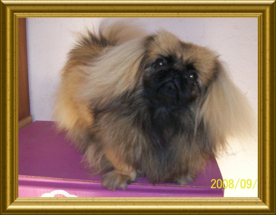 Crazy coming Des perles de nei-cheng