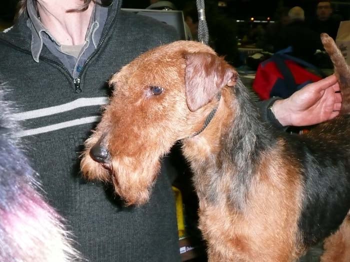 Publication : du jardin d'Arcana Auteur : Vidal