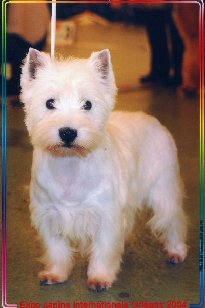 URKA ll du clos des aubepines