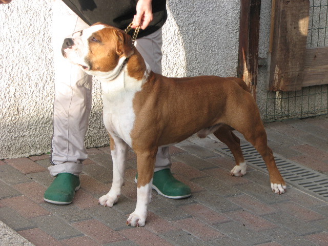 Publication : du bois des Manans