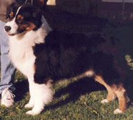 CH. summertime Special effects