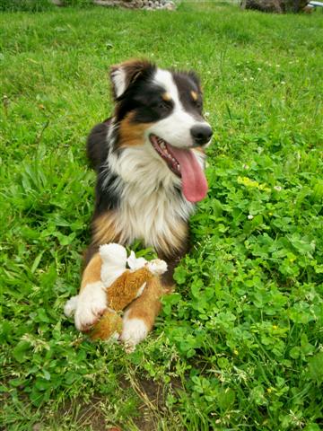 Publication : du Domaine de la Source Bleue