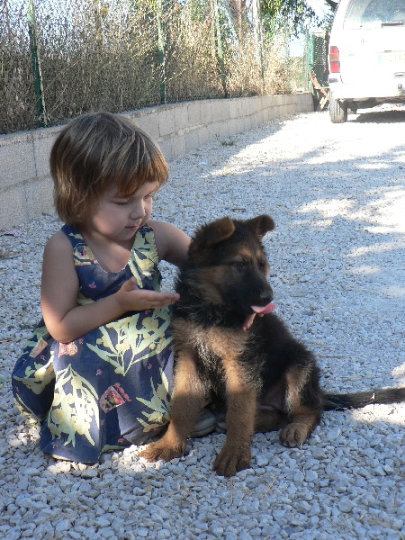 Auteur : le guay catherine