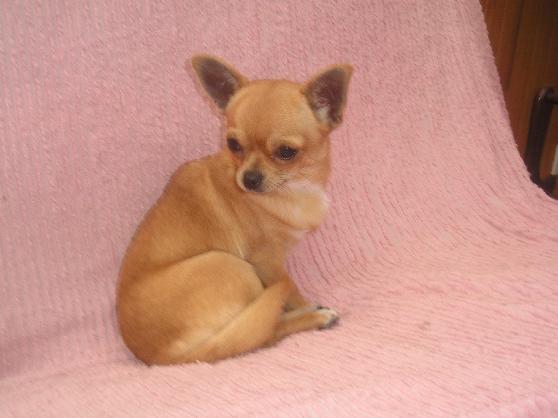 Publication : de la vallee des petits bouts