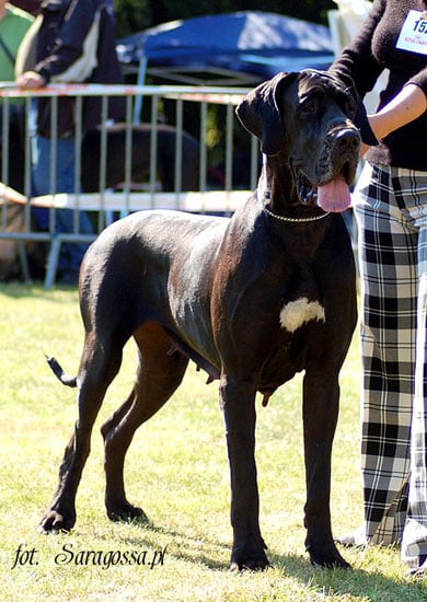 Publication : Czarnoksieznik z Archipelagu