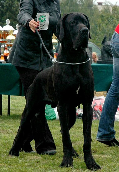 Publication : Czarnoksieznik z Archipelagu