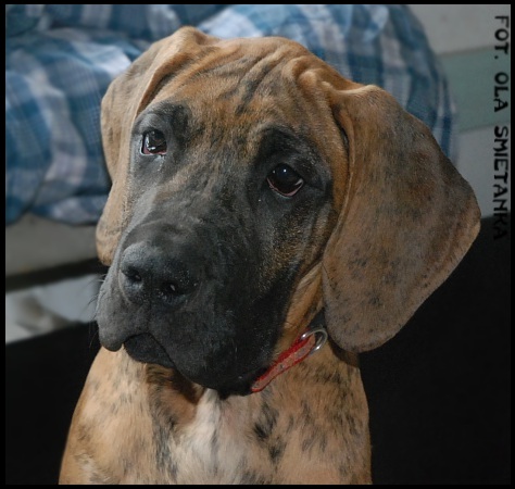 Publication : Czarnoksieznik z Archipelagu