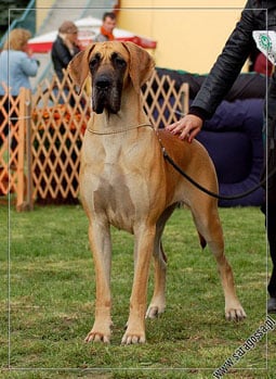 Publication : Czarnoksieznik z Archipelagu