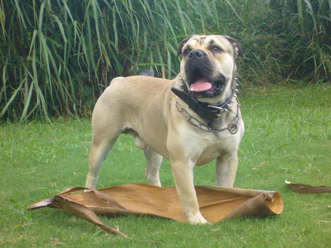 Omar shariff R.j osanna