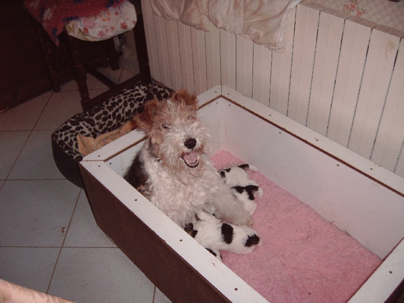 Publication : Platemare Auteur : grandry