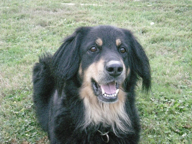 CH. des Seigneurs de la Garde Typha