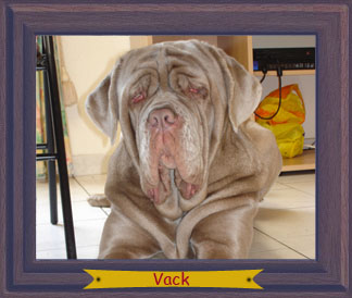 Publication : du Royaume d'Aragone 