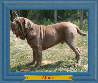 Publication : du Royaume d'Aragone 