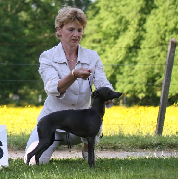 Publication : du domaine de Chanteloup 