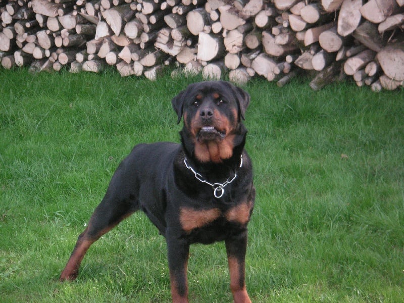 Arca des gardiens de Cloe