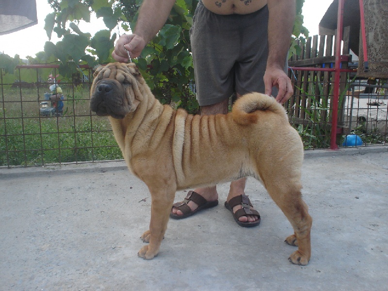 Publication : Blueline