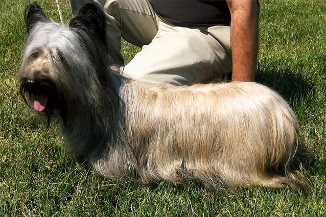 Publication : of Wallace's Coven