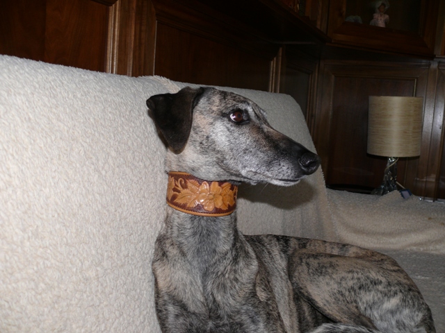 Publication : du Domaine de l'Eglantière 