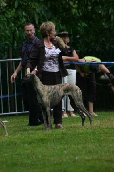 Publication : du Domaine de l'Eglantière 