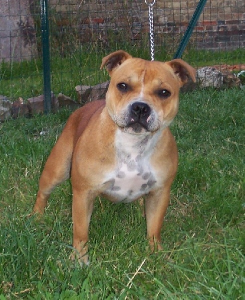 Publication : Mc performance Auteur : Tony COLTEL