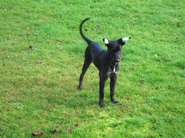 Publication : des titans du Causse 