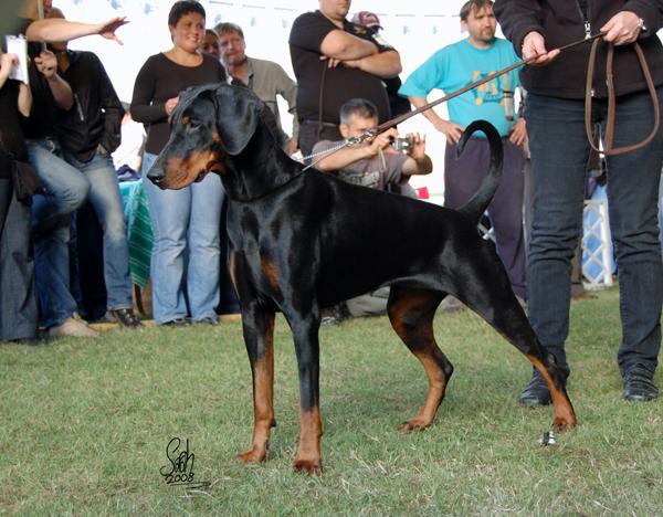 Calysta de Lacluse et Mijoux