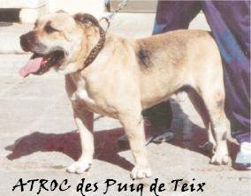 Atroc des puig des teix