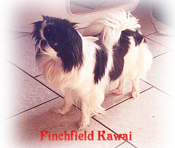 finchfield Kawai