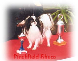 CH. finchfield Shuzo