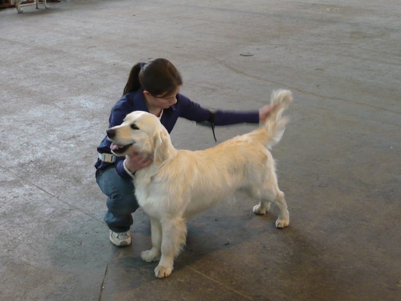 Publication : de La Plaine du Moulin d'Alys