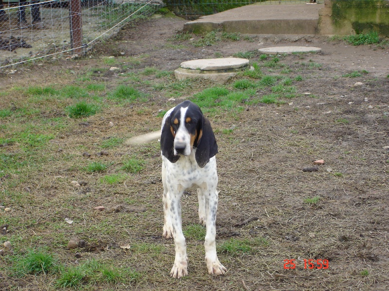 Dalton (Sans Affixe)