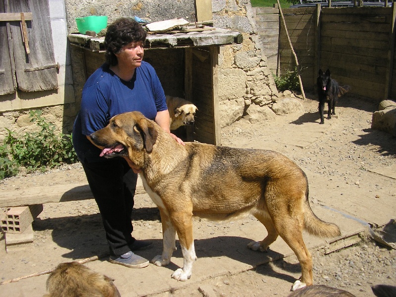 Toumaï souscadis des terres de Glen-More