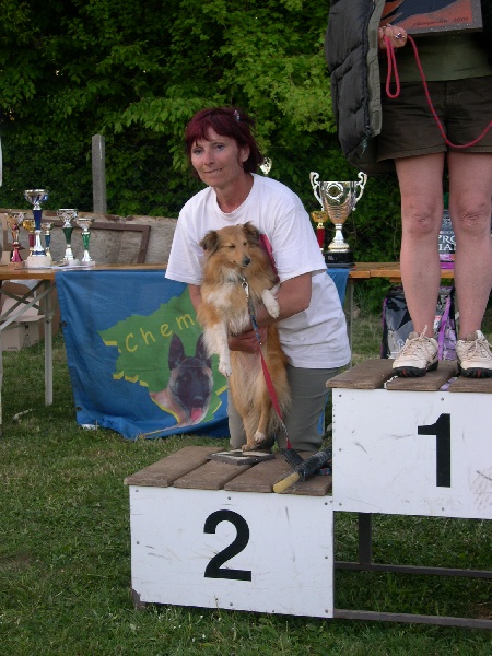 Publication : Du Grand Champ D' Aubertans