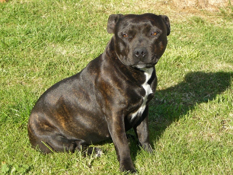 CH. Boulette du domaine de la Seigneurie