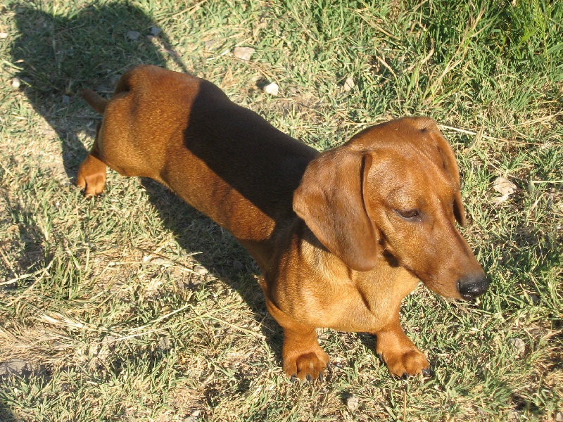 Publication : des pierres de jade 