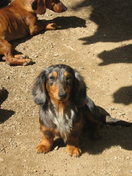 Publication : des pierres de jade 