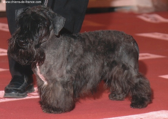 Publication : Des Diablotins De L'Ozon Auteur : mme rochette