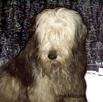 Publication : Des Plaines De Mazurie Auteur : M. Block