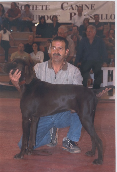 Publication : du domaine du framire Auteur : D'ANGELO RINALDO