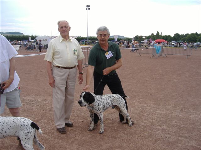 Bruce du ruisseau de Montbrun