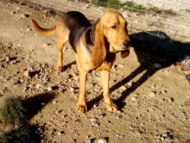 Publication : Des collines verdoyantes 