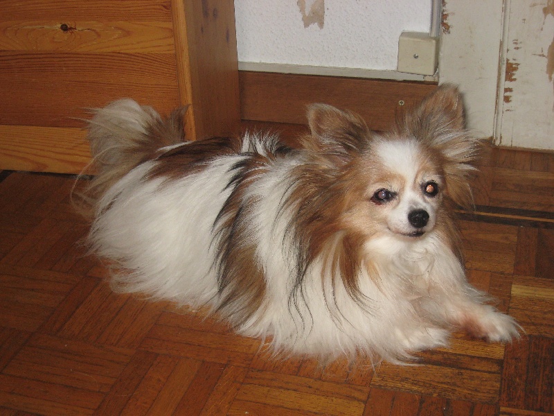 Mickie De la Haute Roome