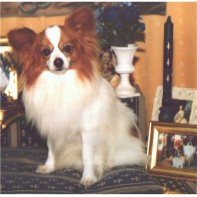 Publication : de l'Abbaye de Calmetie 