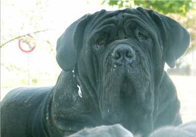 Publication : Le Gué de Pandour 